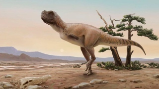 Dinossauro SP