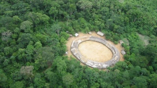 Terra Yanomami