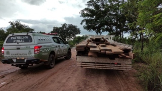 PM apreende madeira ilegal em ação