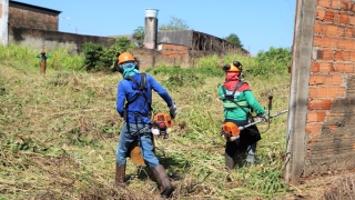Limpeza de lotes baldios em Araguaína
