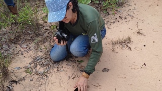 Bióloga do Naturatins Ana Beatriz registra rastro de onça-pintada na região do Jalapão 