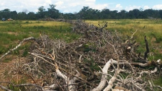 Desmatamento ocorreu em propriedades das cidades de Santa Rosa, Silvanópolis e Ipueiras