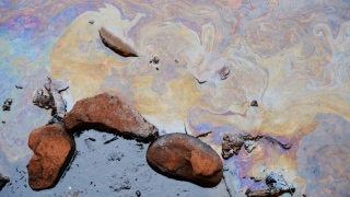 Mancha de óleo no lago Paranoá